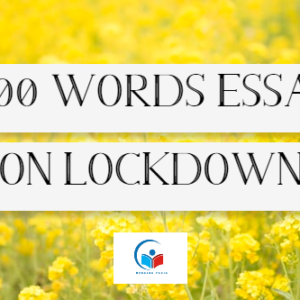 500-words-essay-on-lockdown