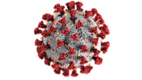 10--lines-on-corona-virus