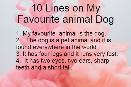 10 Lines on my Favourite animal |Short Essay on my 'Favourite animal' 275  words - LEARN WITH FUN