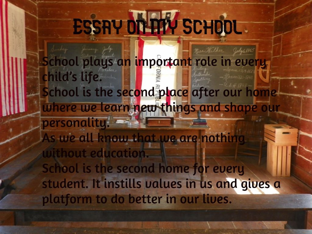 essay on importance of school in our life