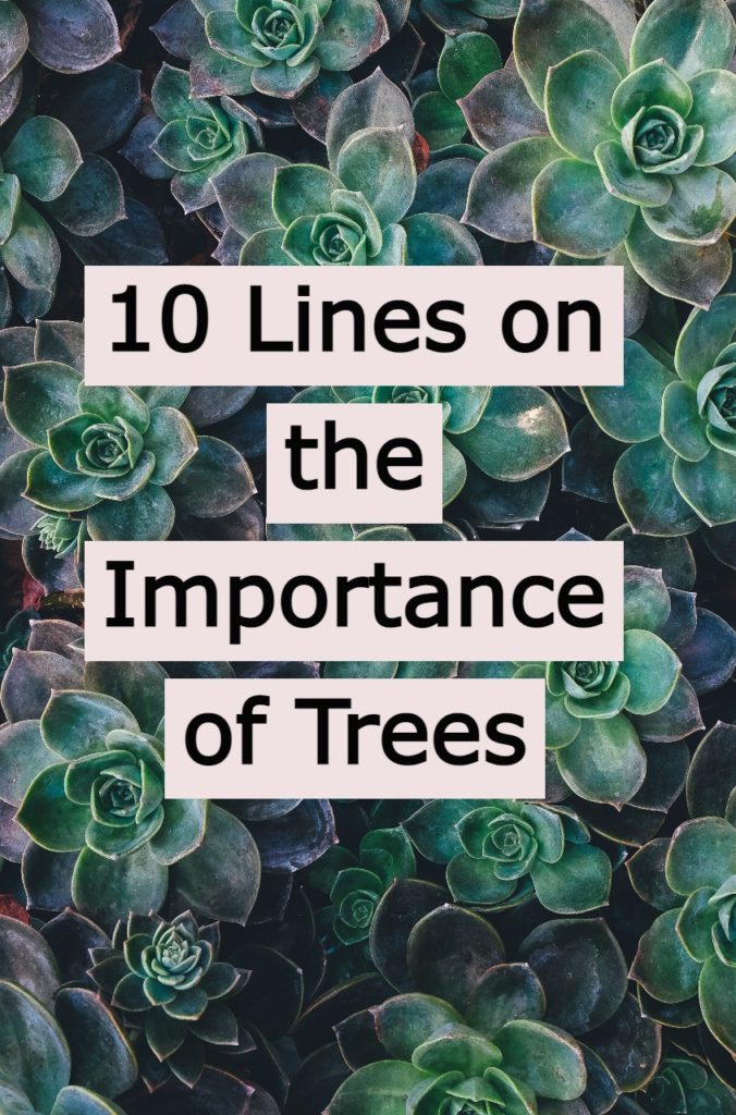 10-lines-on-the-importance-of-trees
