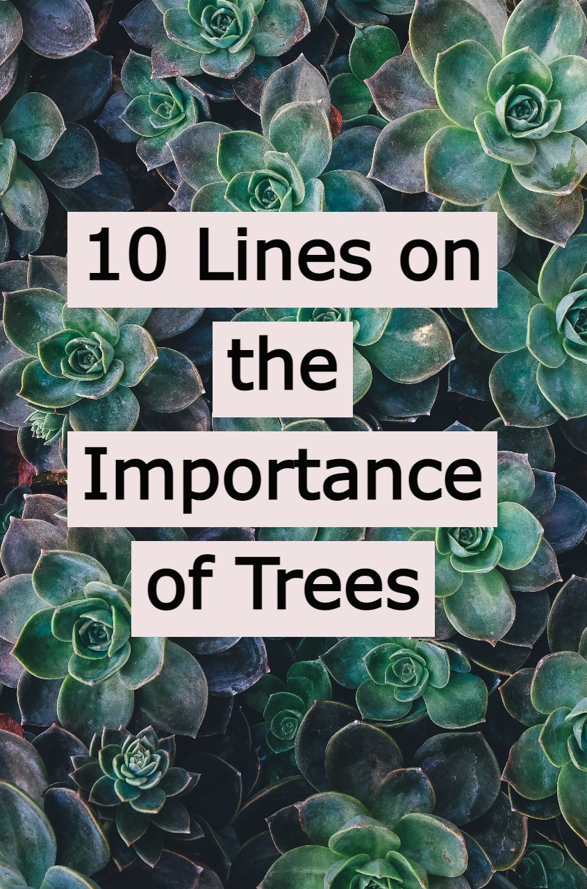 essay on importance of trees for class 5