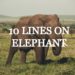10-lines-on-elephants