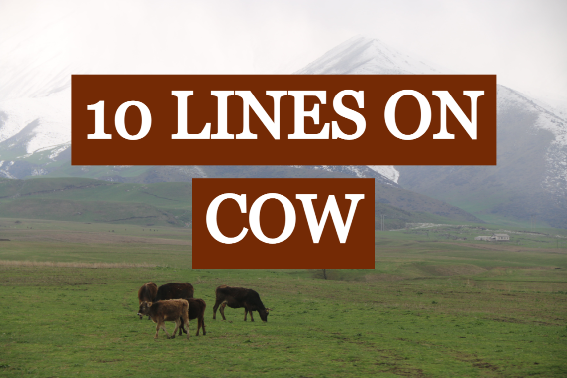 10-lines-on-cow