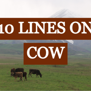 10-lines-on-cow