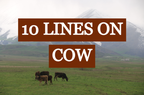 10-lines-on-cow
