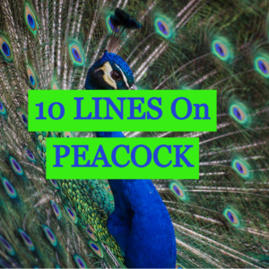 10-lines-on-peacock