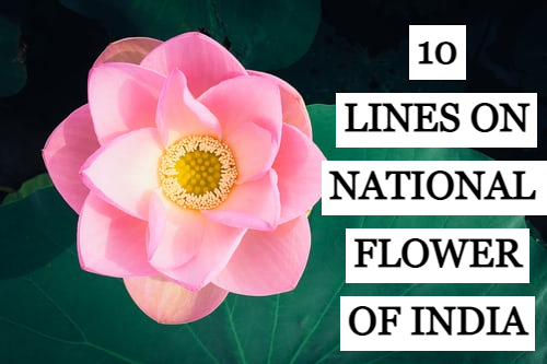 10-lines-on-national-flower-of-india