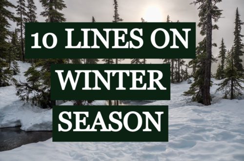 10-lines-on-winter-season