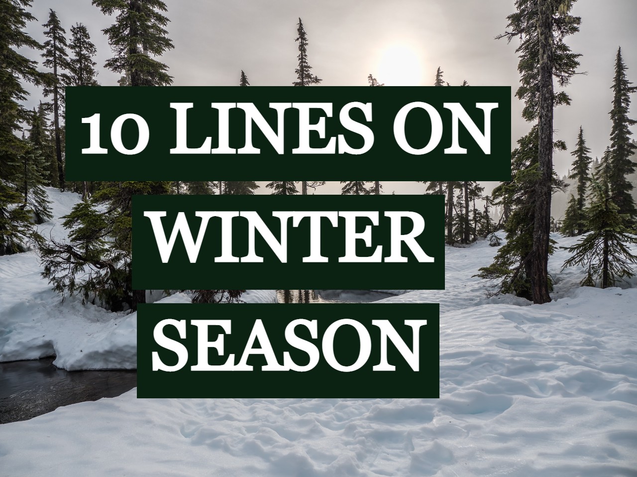 10 LINES ON WINTER SEASON - LEARN WITH FUN