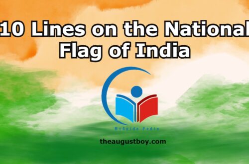 10-lines-on-the-national-flag-of-india-180-words-essay-on-the-national-flag-of-india