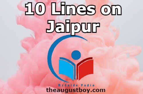 10-lines-on-jaipur