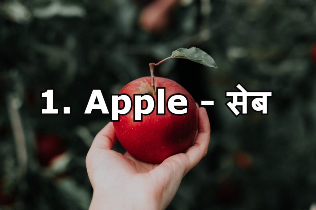 20-fruits-name-in-english-and-hindi