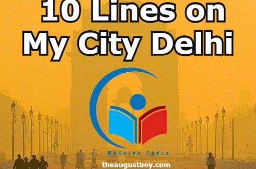 10-lines-on-my-city-delhi