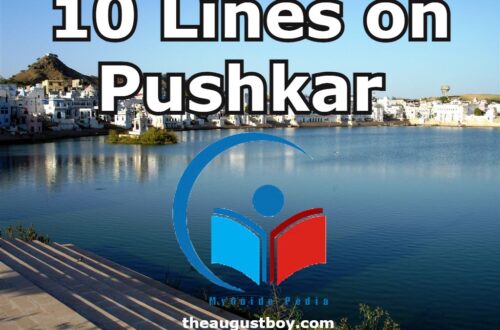 10-lines-on-pushkar
