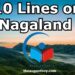 10-lines-on-nagaland-100-words-essay-on-nagaland