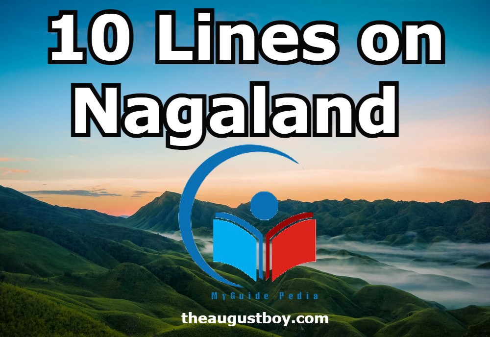 10-lines-on-nagaland-100-words-essay-on-nagaland