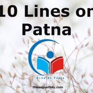 10-lines-on-patna