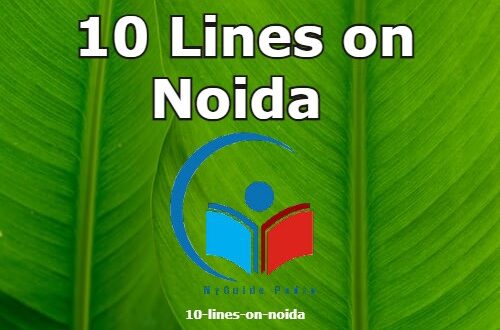 10-lines-on-noida